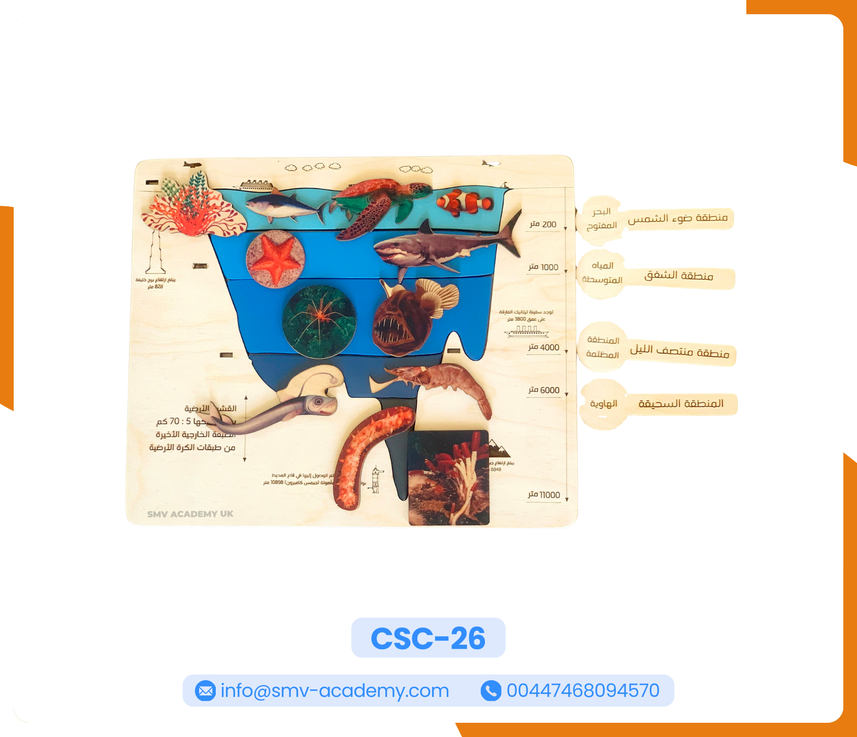 طبقات المحيط - Layers of the Ocean